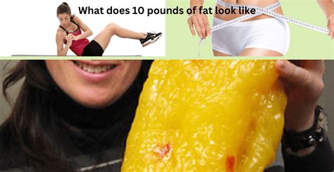 10 pounds of fat look like: A Journey Through Perception and Reality