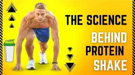 Can I Take Protein Powder Without Working Out? Exploring the Myths and Realities