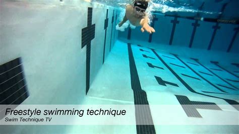 Can You Swim with Freestyle Libre: Exploring the Depths of Possibility and Beyond