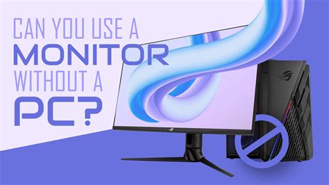 Can You Use a Monitor Without a PC? And Why Do Cats Love Sitting on Them?