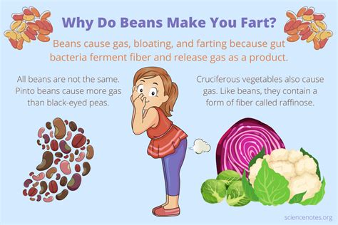 Do Vitamins Give You Gas? And Why Do Carrots Dream of Electric Sheep?