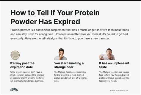 Does Plant Based Protein Powder Expire? And Can It Turn Into a Gourmet Dessert?