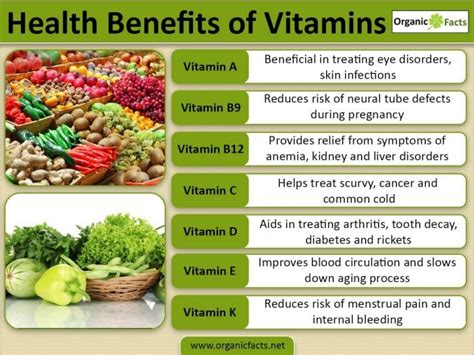 Should You Take Vitamins Before Blood Work: A Dive into the Rabbit Hole of Nutritional Timing