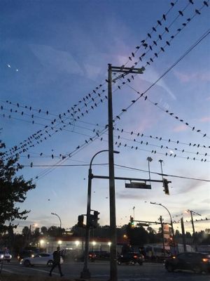 The Birds  heralds avian apocalypse and Hitchcockian suspense!